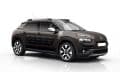 C4 Cactus Standart