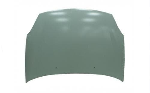 MOTOR KAPUTU CLIO SYMBOL 2009>